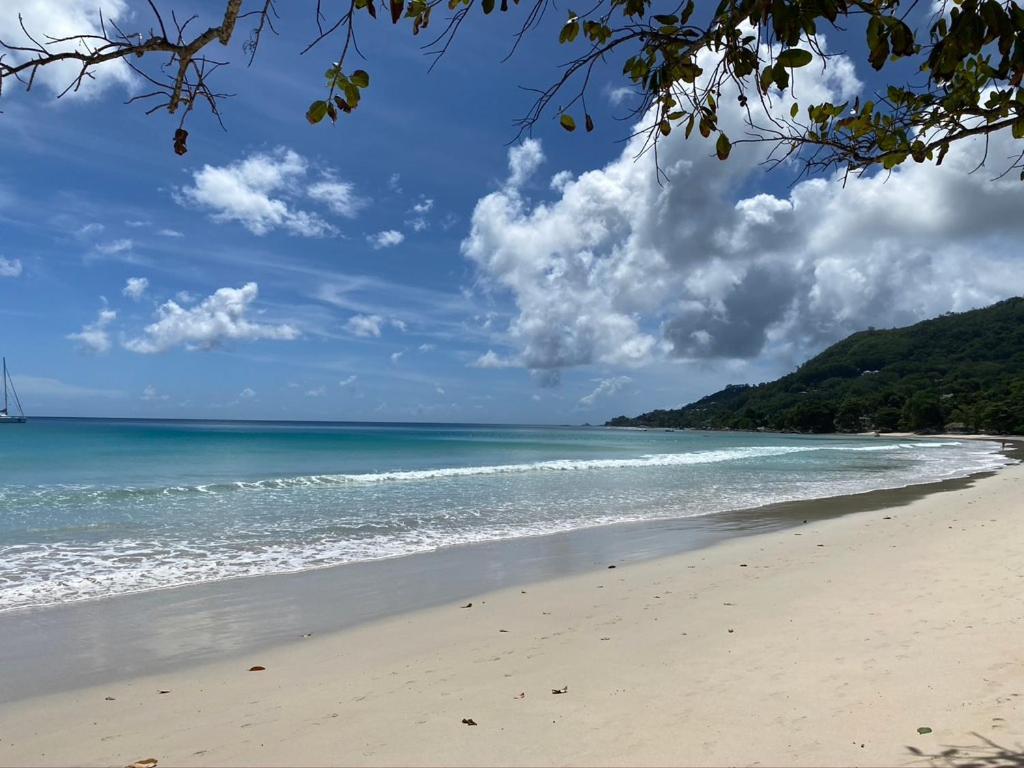 Beau Bamboo Leilighet Beau Vallon  Eksteriør bilde